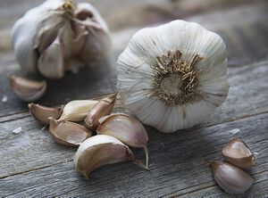 Knoblauch1.jpg