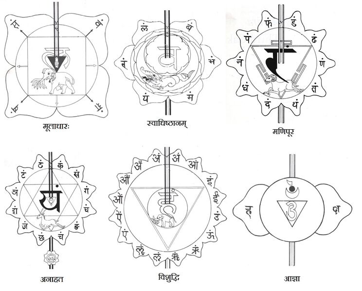 Datei:Seven chakras.jpg
