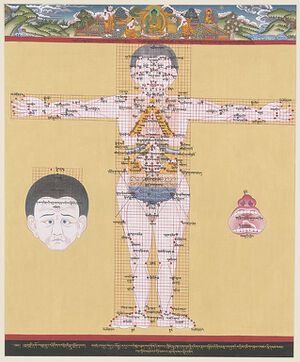 The Blue Beryl-Moxibustion Surgery and Bloodletting Points.jpg