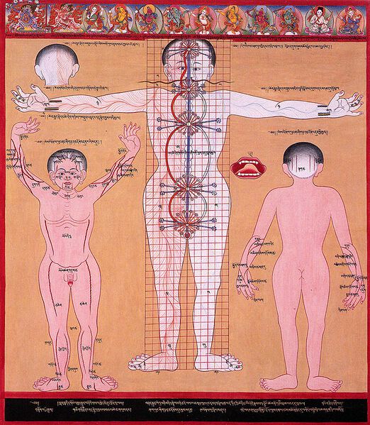 Datei:Chakras and energy channels 2 (3749594497).jpg