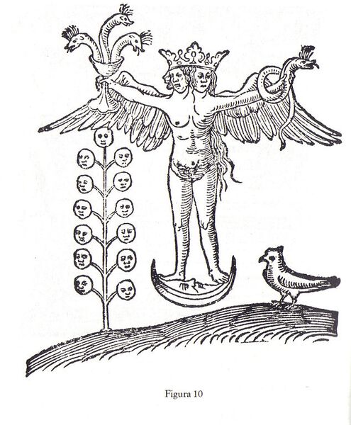 Datei:Rebis Ermafrodita.jpg