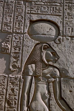 GD-EG-KomOmbo016.jpg