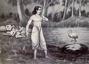 Yudhistira und Yaksha.jpg