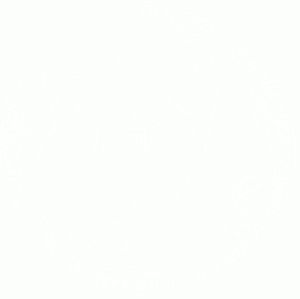 Aemethms.gif